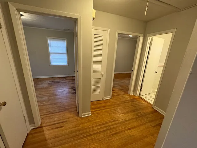 833 Harvey Cv — Photo 4