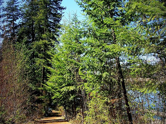 3rd image of 8287 W Riverview Dr Lot 4
