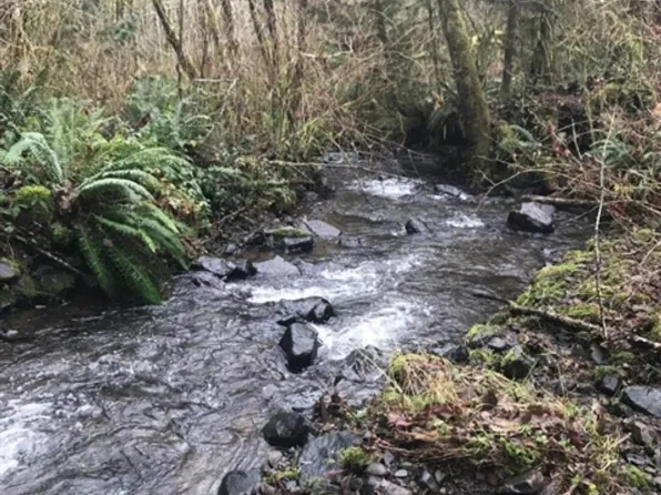 0 Alsea Hwy, Alsea, OR 97324