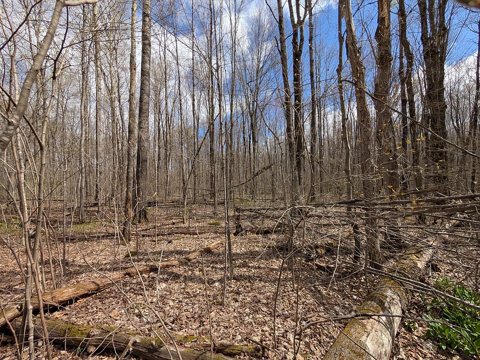 2nd image of 10.6 Aspen Ln #On