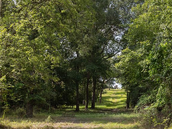 4th image of 1691 Navasota Rdg