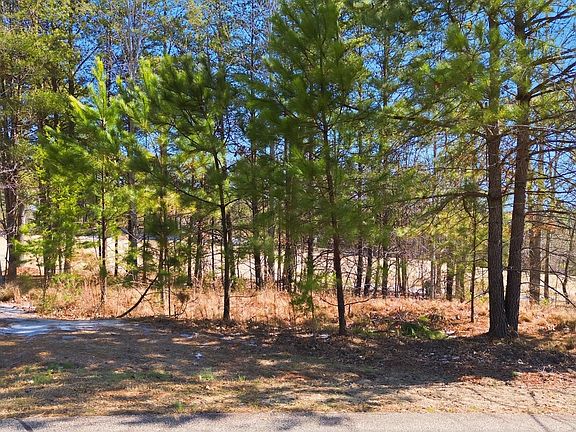 2nd image of 101 Cottage Ln
