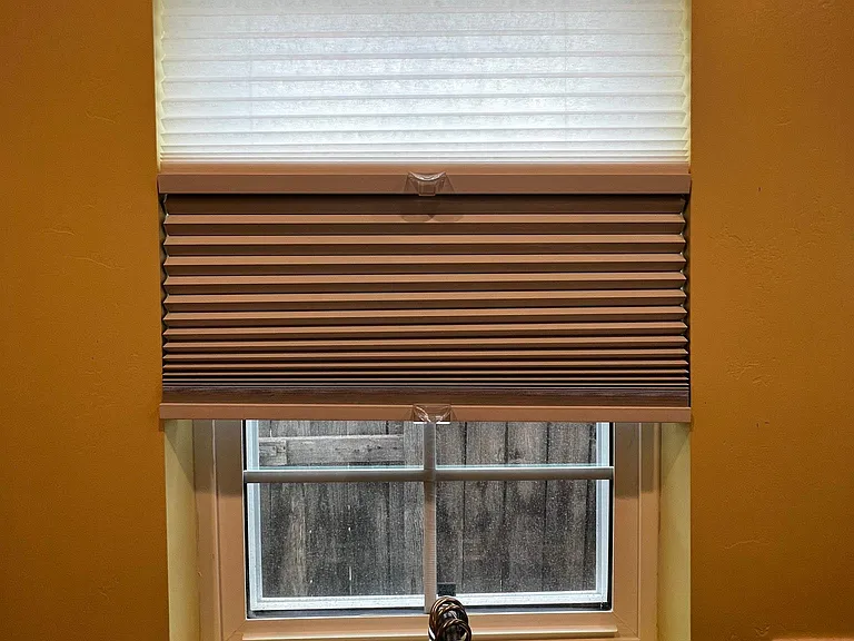 Blackout and light-filtering blinds