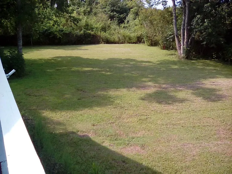 Large Back Yard