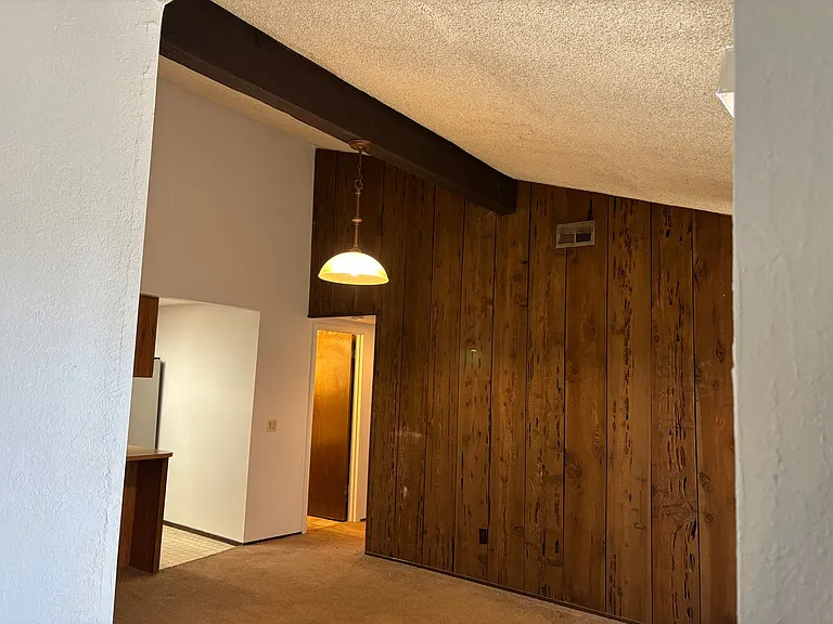 4999 Curve Wood Way — Photo 4