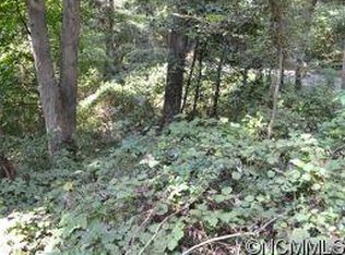 22B Pickwick Rd, Asheville, NC 28803