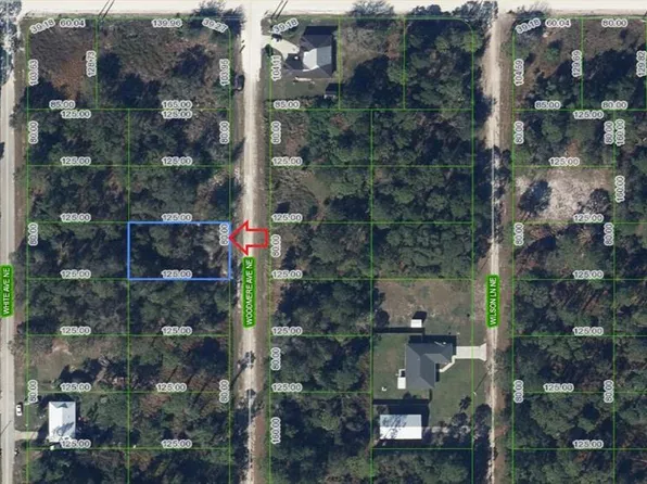 107 Woodmere Ave NE #6, Lake Placid, FL 33852