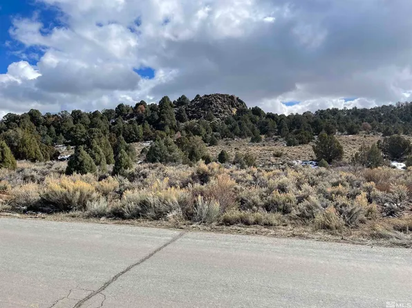 2311 Lousetown Rd, Reno, NV 89521