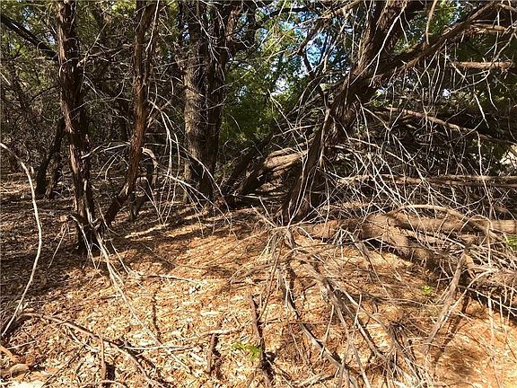 5th image of 8126 Chantilly Trl