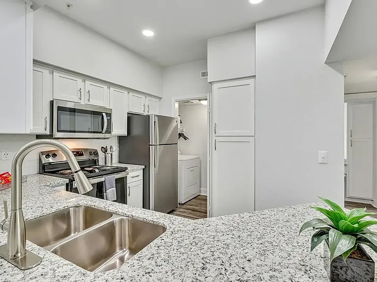 Aura at Westchase — Photo 13