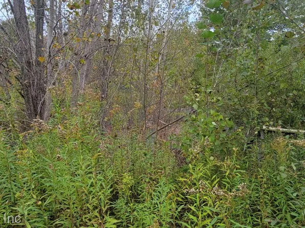 3716 Hanes Rd, Vassar, MI 48768