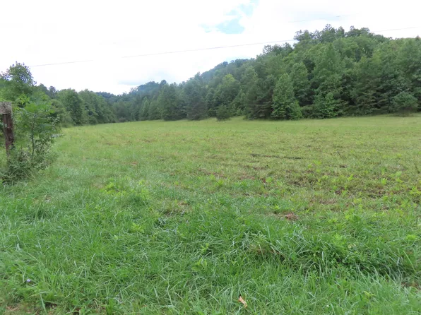 9999 Pond Lick Rd, Morehead, KY 40351