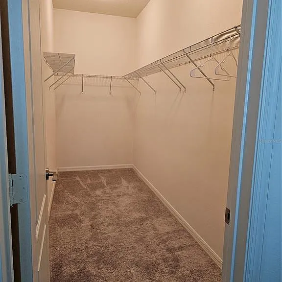 2927 Sanctuary Dr — Photo 8