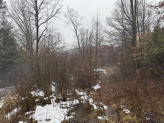 2nd image of 727 Curtain Rd