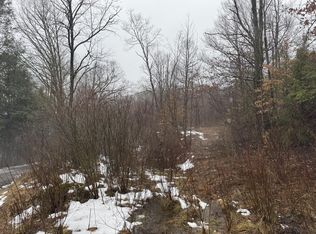 727 Curtain Rd, Craigsville, WV 26205