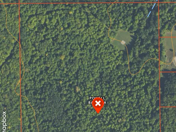 Nhn Klein Rd, Hillman, MI 49746