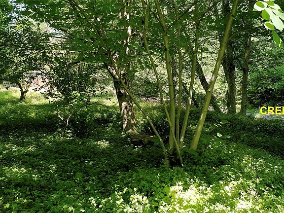 5th image of 329 Brierhill Boulevard
