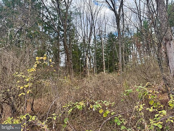 4th image of LOT L93 Hancock Rd