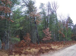 230 E Cherry Creek Rd, Mio, MI 48647