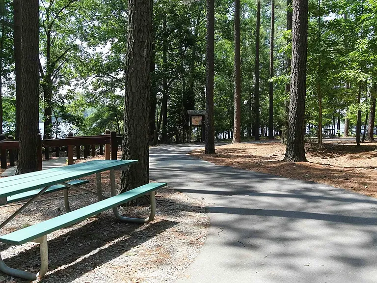 Walking Trail + Picnic Spot