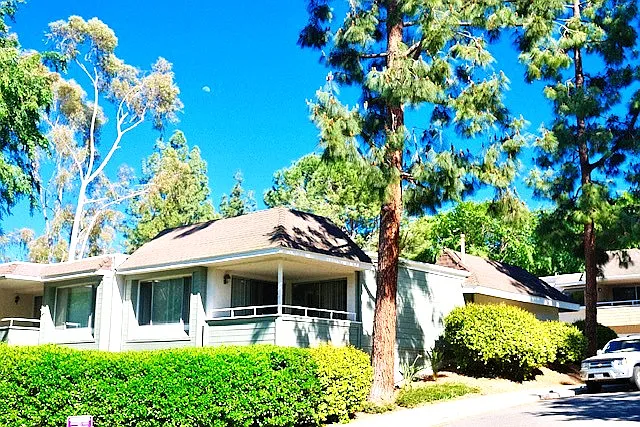 2 bed, 1.5 bath, 1207 sqft, $3,360 — Photo 4