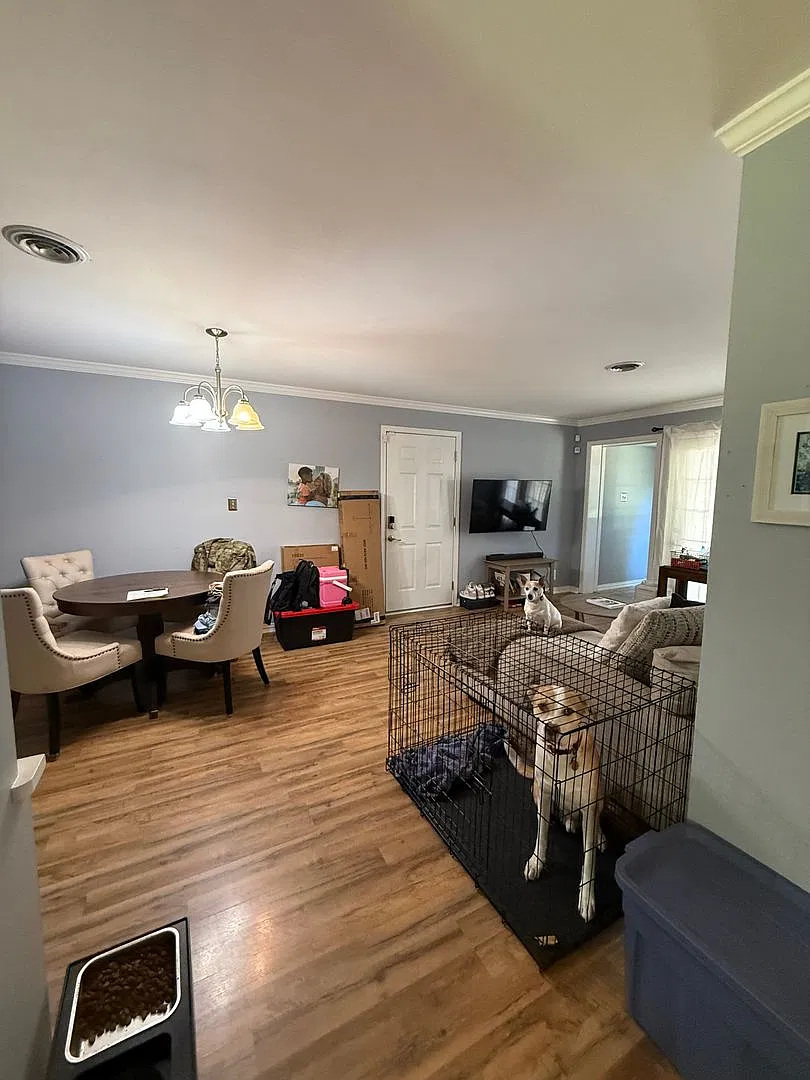 Shreve Island Ready! — Photo 4