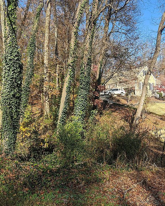 2nd image of 3113 Waterfront Dr
