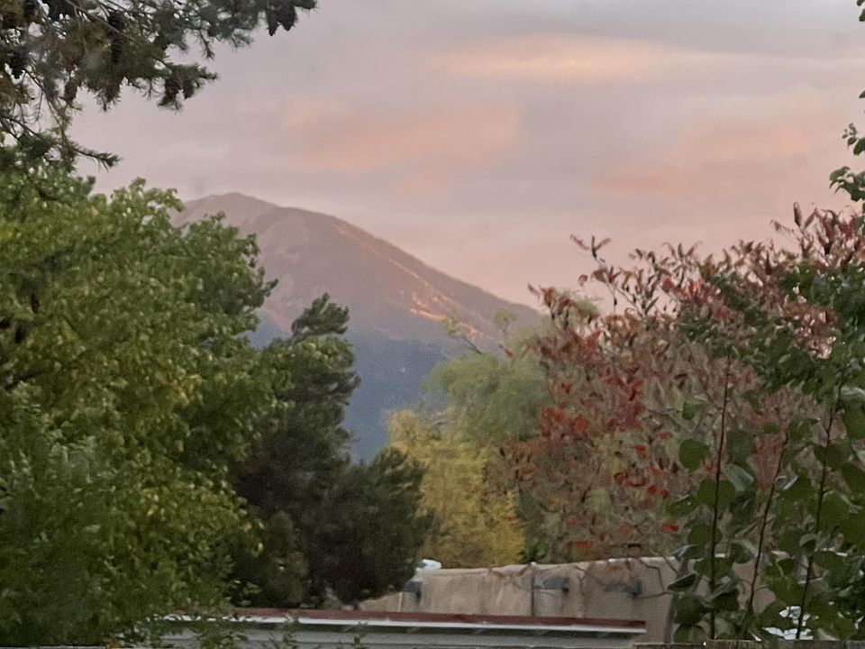 View from living room window