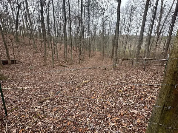 120.62 Browns Hollow Rd, Tracy City, TN 37387