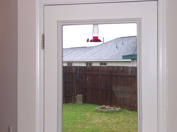 Hummingbird Back Patio