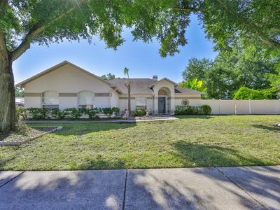 10331 Ashley Oaks Dr, Riverview, FL, 33578