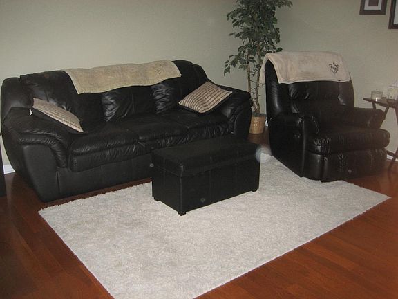 Hardwood floors in living room and hall