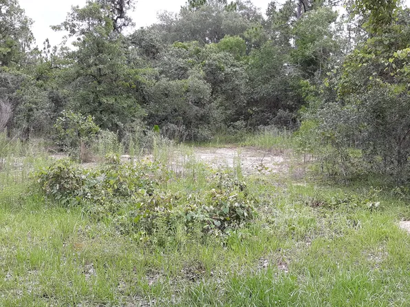 5749 W Nobis Cir, Homosassa, FL 34448