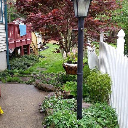 3rd image of 528 Wallace St