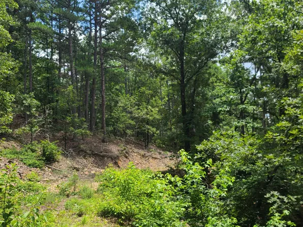 0 Cedarglade Rd Lot Wp000, Hot Springs National Park, AR 71913