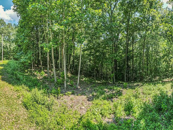 3rd image of 0 Simmons Ct