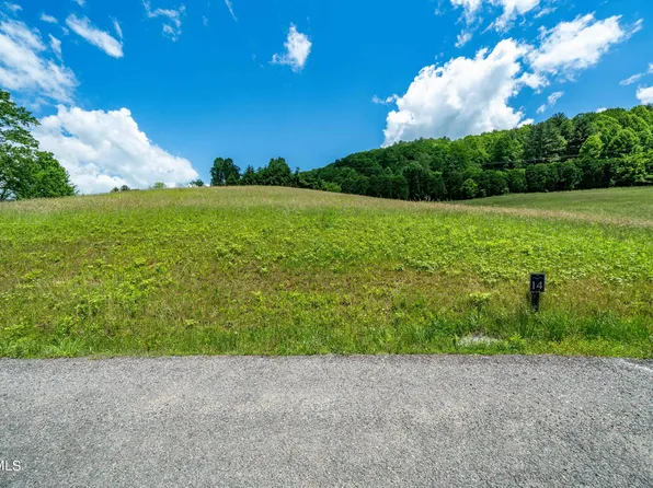 14 Silver Oak Pvt Trl, Butler, TN 37640