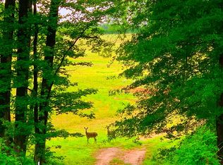 14 Kristy Ln, Carnesville, GA 30521