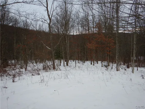 Newark Valley Maine Rd, Newark Valley, NY 13811