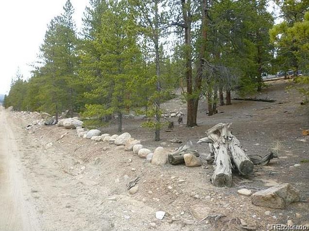 2nd image of 247 Birch Dr
