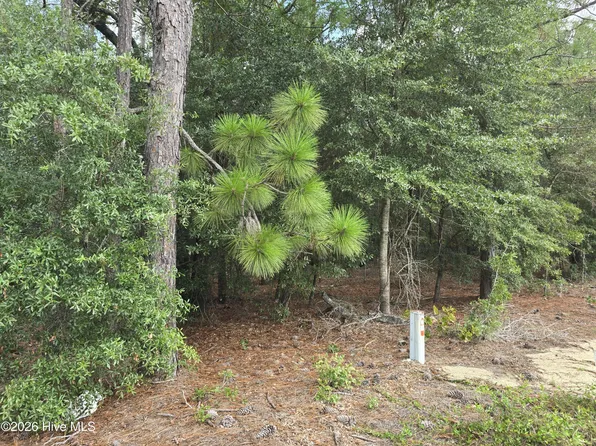 317 R J Johnson Road, Allendale, SC 29810