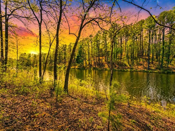 177R Overlook Rd, Ellijay, GA 30540