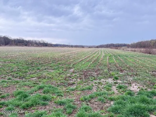 0 Strayleaf Rd, Wildersville, TN 38388