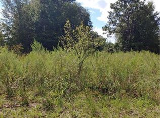 807 Long Ave, Inverness, FL 34453