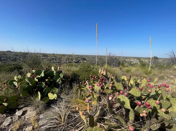 0 Verde Rd #40, Comstock, TX 78837