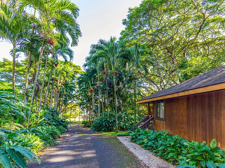 49-51 Kamehameha Hwy — Photo 11