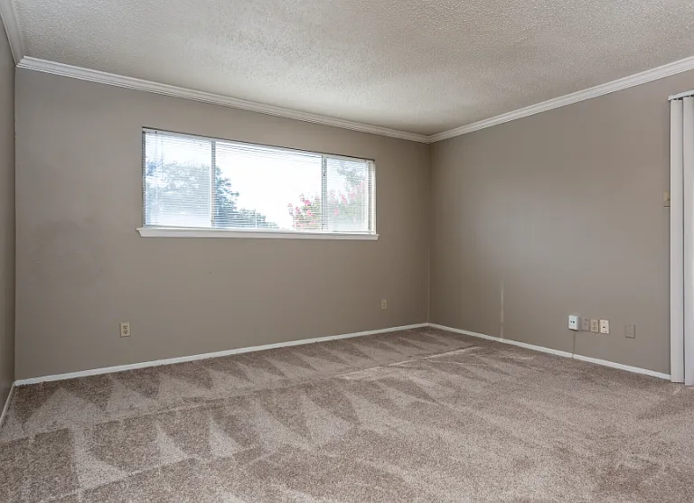Extra bedroom or flex space with plush carpeting