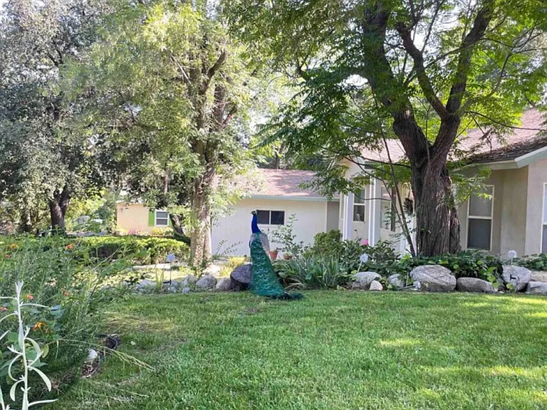 1815 Oak View Ln #1 — Photo 14