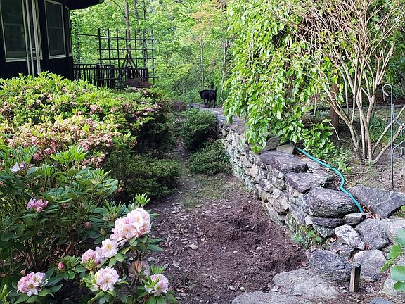 Over 11acres of woods and yard