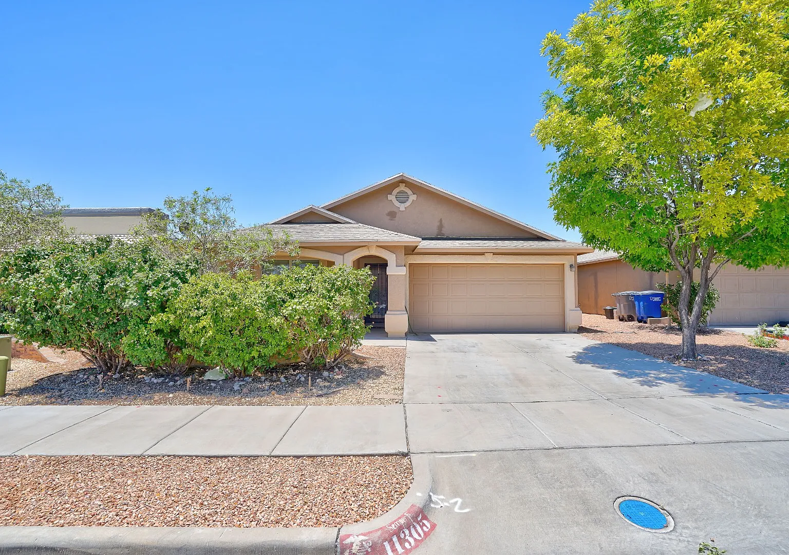 11305 Cattle Ranch St — Photo 3